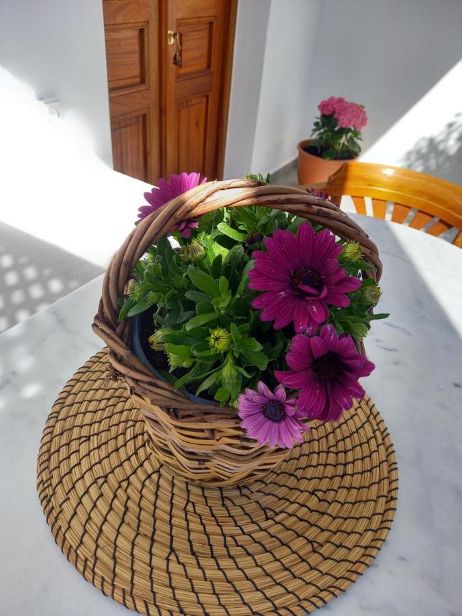 Patmos Little Suites 斯科拉 外观 照片